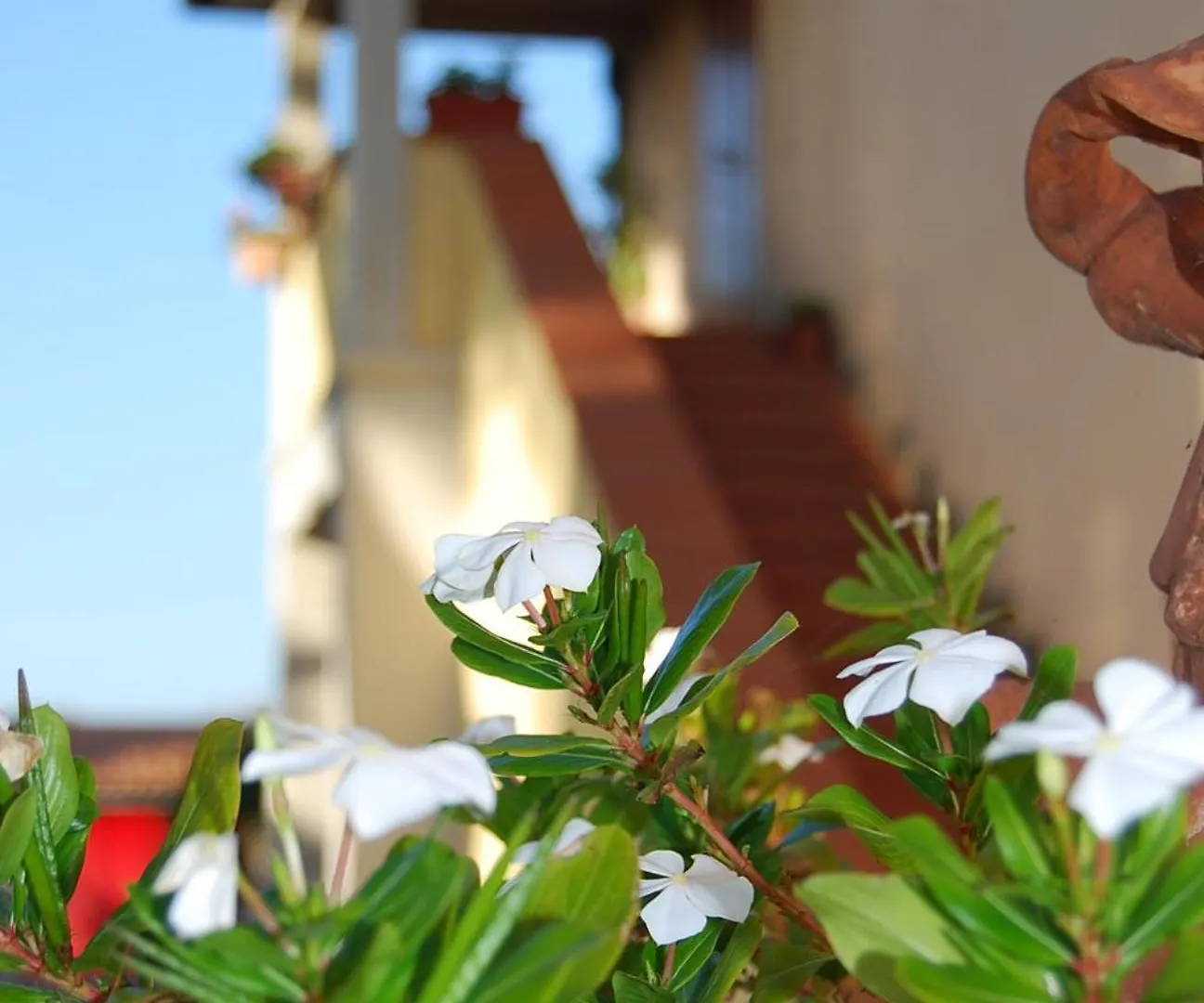 Casa Vacanze Guardamare San Vincenzo